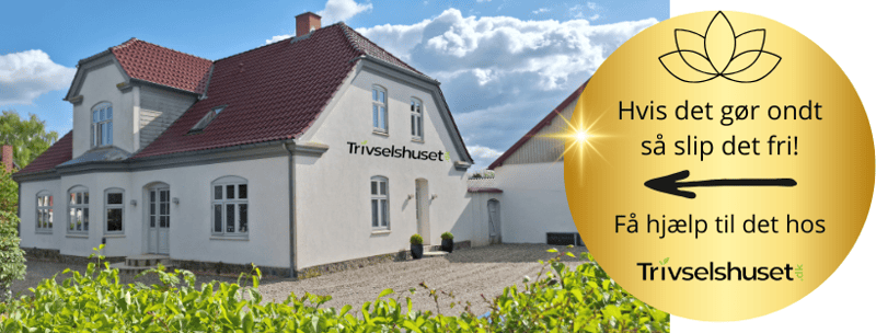Trivselshuset.dk Terpvej 29, Øster Lindet, 6630 Rødding